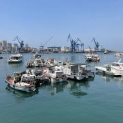 青岛小港钓鱼码头全攻略 门票、地址、实景图片与两轮助动自行车批发指南